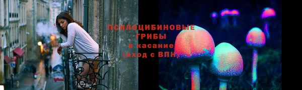мдпв Бронницы