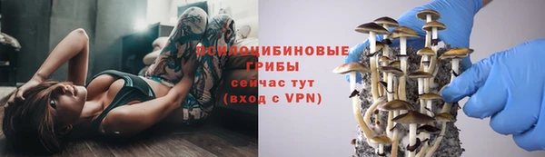 ECSTASY Бородино