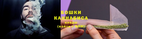 мдпв Бронницы