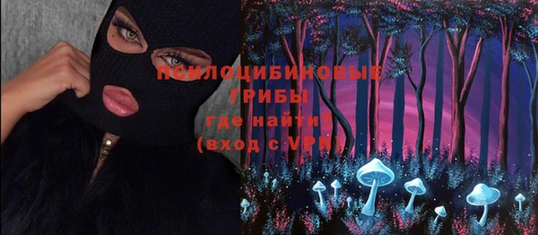 ECSTASY Бородино
