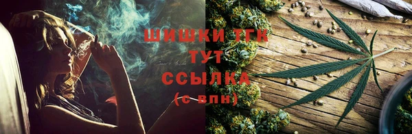 ECSTASY Бородино