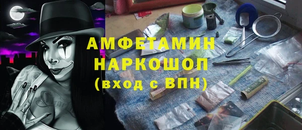 ECSTASY Бородино