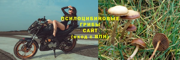 ECSTASY Бородино