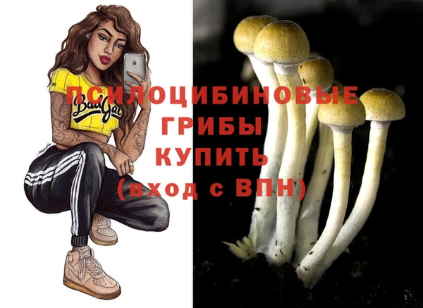 ECSTASY Бородино
