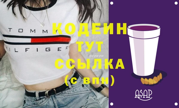 ECSTASY Бородино