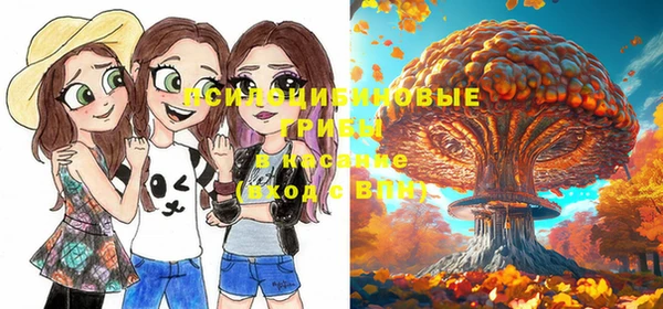 мдпв Бронницы
